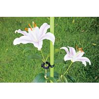 山研工業 らくらく固定ポールクリップ 直径20mm 29050014 1個