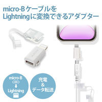 エレコム Lightning変換アダプタ/ホワイト MPA-MBLADWH 1個