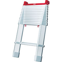 【アウトレット】長谷川工業 ハセガワ コンパクト1連はしご スカイラダー LS49 1台