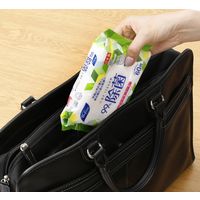 ファミリー・ライフ ノンアルコールウェットティッシュ 12個組 a23174 1セット(12個組)（直送品）