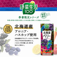 【アウトレット】カゴメ 野菜生活100 濃厚果実 北海道ベリーミックス 195ml 1箱（24本入）