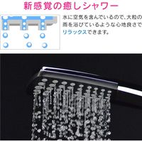 カクダイ ガオナ レインシャワーヘッド 空気取込み構造 大粒の雨 リラックス コンパクト GA-FA033 1本