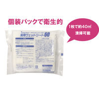 山崎産業 HP ワンミニッツバスター 床用ウェットシート60 MO739-060X-MB 1箱(100枚:5枚×20パック)