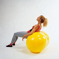 淡野製作所 フィジオロール 55 D5426 1個