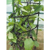 第一ビニール サポートアーム 外形Φ8.11.16mm兼用 4968438011622 1個（直送品）