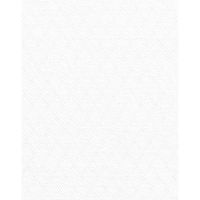 ボンマックス BONOFFICE 半袖ブラウス ホワイト ２１号 RB4564-15-21（直送品）