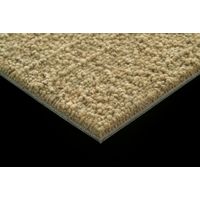 スミノエ 業務用タイルカーペット ECOS SG-300 SG-352 500×500mm 4955141386932 1セット(20枚入)（直送品）