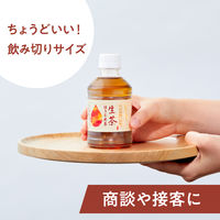 キリンビバレッジ キリン 生茶 ほうじ茶 ホット＆コールド 280ml 1セット（48本） お茶  ペットボトル