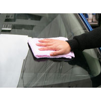 ソフト99コーポレーション ぬりぬりガラコ　ハヤデキ　1ケース/30個入 307078 1セット(30個)（直送品）