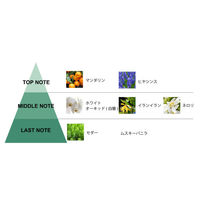 日本香堂 イニシャルラタンブーケ オルキデ ブランシュ 3個セット 347884 1セット(3個)（直送品）