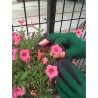 三共コーポレーション sita #380953 SYT-L 指先が出せる手袋L 1双（直送品）