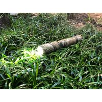 NICRON Camo Twist 950LM 充電式 B70+ 1本