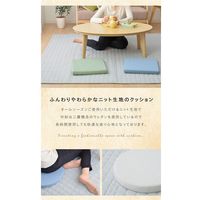 イケヒコ 低反発シートクッション セゾン 幅約400×奥行約400×高さ約40mm ブルー 9845852 １セット(4枚入)（直送品）