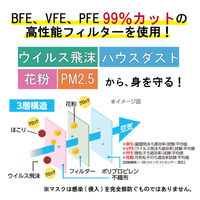 アイリスオーヤマ 安心・清潔プリーツマスク ふつう 30枚入り 20PK-AS30M 1箱（30枚入） 日本製