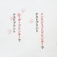 大直 シーズナル さくら B5 15枚入 206030306 1個（直送品）