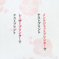 大直 シーズナル うめ B5 15枚入 206030305 1個（直送品）