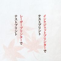大直 シーズナル もみじ B5 15枚入 206030308 1個（直送品）