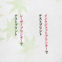 大直 シーズナル しんりょく A4 15枚入 206040311 1個（直送品）