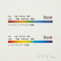 大直 奉書紙 生成 A4 100枚入 207020001 1個