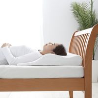 西川 ピロー・プレミオーラ 枕 快眠 2435-56685 1セット(2個)