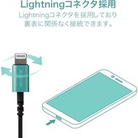 マイク付きイヤホン ライトニング端子 カナル型 10.0mmドライバー 高耐久ケーブル採用 グリーン EHP-LFS12CMGR エレコム 1個