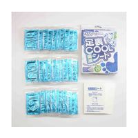 鈴木油脂工業 足裏 COOL 樹液シート 30枚入 65-1335-96 1個(30枚)（直送品）