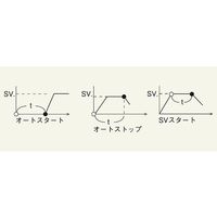 アズワン デジタルマルチ温調器(プログラム制御機能付) 英語版校正証明書付 TXN-700B 1個 1-5481-31-56（直送品）