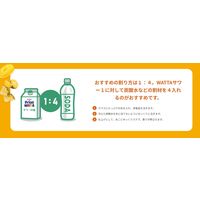 WATTA（ワッタ） パイナップル サワーの素 パック 900ml 1本 リキュール