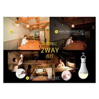 かりはな製作所 蓄電型LED電球 防災電球 電球色 KS-01OR 1個