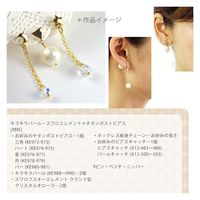 日本紐釦貿易(Nippon Chuko) 日本紐釦貿易 チタンポストピアス キャッチなし ハート 2組入 ゴールド KE974-G　5袋（直送品）