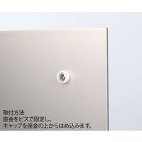 ハヤノ産業 壁面パーツFSN15ー16Cr クローム 盗難防止 10個セット FSN1516C 1セット(10個) 64-0959-46（直送品）