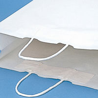 シモジマ 25チャームバッグ 38-3 白無地 003272100 1袋(50枚)