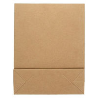 シモジマ 宅配袋 ベロ無し L 未晒無地 004192123 1束(25枚)