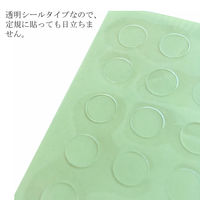 TTC フローティングシート 透明 25ピース入 22-0991 1袋