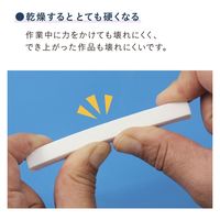 日本教材製作所 日本教材 紙粘土 Dia Doll ダイヤドール 約480g NKZ0831 1セット(5パック)