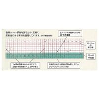 クロバー 方眼定規 20cm 25054 1個 62-4079-23（直送品）