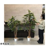 アズワン マウンテンアッシュ(フェイクグリーン 人工樹木)180cm 65-9345-83 1個（直送品）