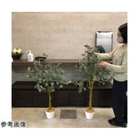アズワン ユーカリ(フェイクグリーン 人工樹木)115cm 65-9345-88 1個（直送品）