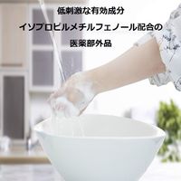 アララ 薬用泡のハンドソープ 本体 350ml 1個 【泡タイプ】 岩谷産業