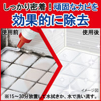 カビキラー PRO 最強ジェル 100g 1本 カビ取り用洗浄剤 カビ除去 お風呂掃除 ジョンソン