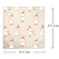 ムーミン マイクロファイバー ふきん 30x30cm 3枚 セット リトルミイ 1個 台ふきん オカトー