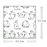 マイクロファイバー ふきん 30x30cm 3枚 セット ムーミン 1個 台ふきん オカトー