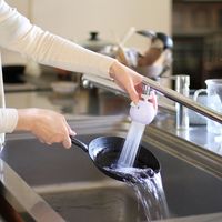 浄水器 蛇口取り付けタイプ ロカシャワー 首振りタイプ CP3 ホワイト 約3か月 RSCPSW-3091 1個 クリタック