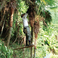 しゅろのやさしいたわし 万能タイプ 特小 日本製 1個 高田耕造商店