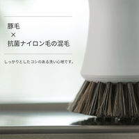 清潔謹製シリーズ 小回りがきく 抗菌キッチンブラシ かため フライパン・ざる洗い ホワイト 1個 マーナ