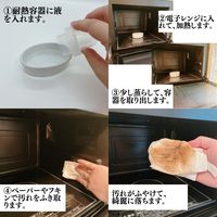 住まいの魔法のスチーム レンチン 電子レンジの洗浄剤 300ml 1個 丹羽久