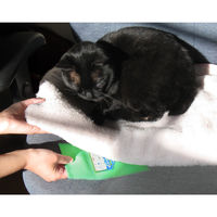 ダニ捕りシートDX　TKR-16