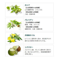 クナイプ ハンドクリーム ホップ＆バレリアンの香り 20mL クナイプジャパン