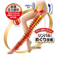 SLIMWALK（スリムウォーク） メディカルリンパストッキング おそと用 ピュアベージュ S～M ピップ