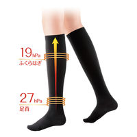 SLIMWALK（スリムウォーク） 美脚ハイソックスナチュラルfeel MLサイズ 1セット（3個） ピップ